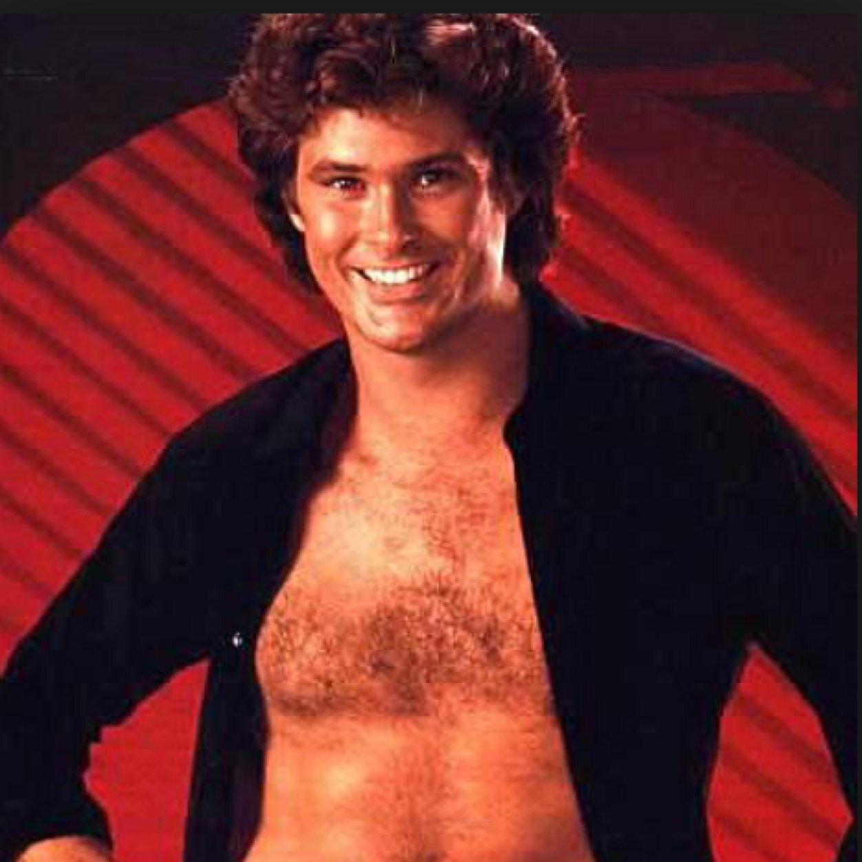 The Hoff The Hoff