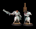 Warmachine - Retribution of Scyrah Dawnguard Sentinel