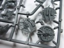 Warhammer Fantasy - Tiermenschen Minotauren