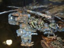 Forge World - Warcopta