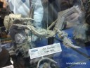 Forge World - Ork Stompa Claw