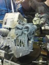 Forge World - Ork Stompa Head