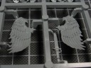Warhammer 40.000 - Sanguinische Garde der Blood Angels