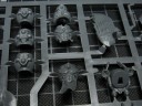 Warhammer 40.000 - Sanguinische Garde der Blood Angels