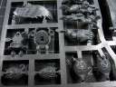 Warhammer 40.000 - Sanguinische Garde der Blood Angels