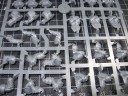 Warhammer Fantasy - Ork Wildschweinreiter