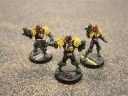 Mongoose Publishing - Judges