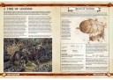 Warhammer Fantasy - 8. Edition Regelwerk