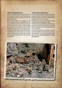 Operation World War 2