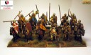 Conquest Games - Norman Regiment