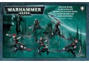 Warhammer 40.000 - Dark Eldar Schattenjäger