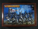 Warhammer Fantasy - Hochelfen Drachenprinzen