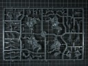 Warhammer Fantasy - Hochelfen Drachenprinzen