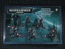 Warhammer 40.000 - Dark Eldar Hellions