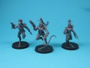 Warhammer 40.000 - Dark Eldar Hagashin