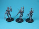 Warhammer 40.000 - Dark Eldar Hagashin