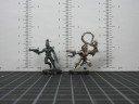 Warhammer 40.000 - Dark Eldar Hagashin