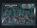 Warhammer 40.000 - Dark Eldar Kabalenkrieger