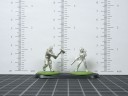 Hasslefree - Scale