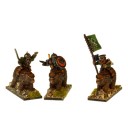 Magister Militum - Dwarves Bear Riders