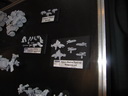 Games Day 2010 - Spieltische