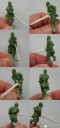 Tercio Creativo - Recio Green