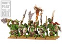 Warhammer Fantasy - Orks & Goblins Wildorks