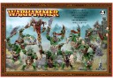 Warhammer Fantasy - Orks & Goblins Wildorks