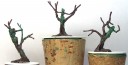 Wood Elf Dryads