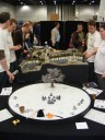 Salute 2011