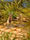 Freebooters Fate - Amazons