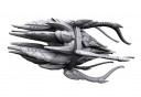 Aquan Prime Medusa Dreadnought 1