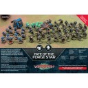 Fate of the Forge Star Box Back