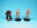 Willy Miniatures - Fantasy Football
