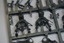 FG_Teutonic_Knights_first_plastic_frame_2