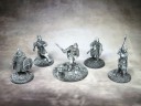 Gripping Beast - SAGA Viking Warband