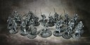 Gripping Beast - SAGA Viking Warband