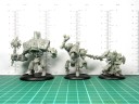 Warmachine - Maßstab