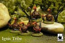 DG_ignis-tribe-shot