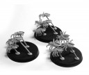 Forge World - Necorn Scarabs