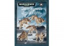 Warhammer 40.000 - Fenriswolfrudel der Space Wolves