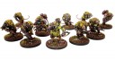 Warpath - Veer-myn Night Crawlers