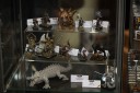 Banelegions - Salute 2012