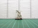 Cool Mini Or Not - Barbarian King