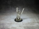 Cool Mini Or Not - Barbarian King