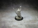 Cool Mini Or Not - Barbarian King