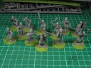 Gripping Beast - Viking Hirdmen