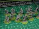 Gripping Beast - Viking Hirdmen