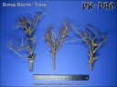 PK-Pro - Bonsai Bäume