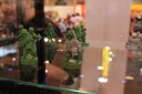 Battlefront - Spiel 2012
